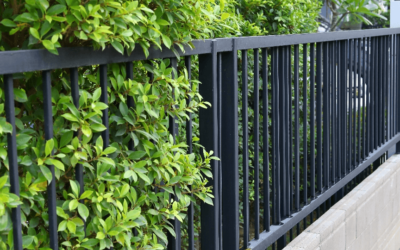 Clôture à Colmar : nos conseils pour choisir votre clôture