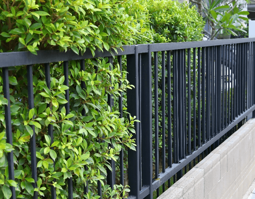 Clôture à Colmar : nos conseils pour choisir votre clôture